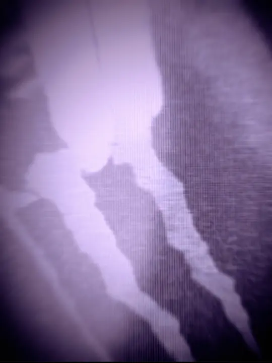 ill_Miko_big_love의 トー横界隈