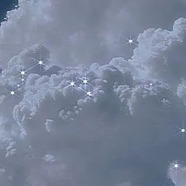 Profile image of 蛍