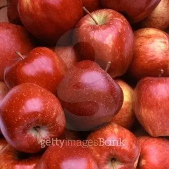 Profile image of 마플