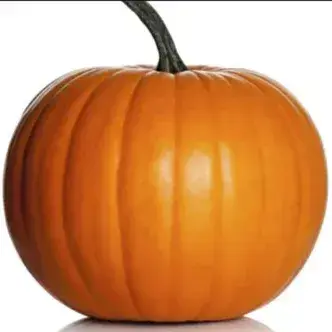 JollyCup4114의 Gourdo