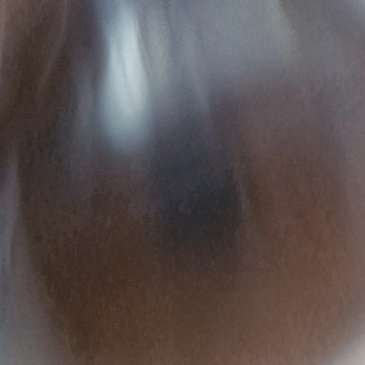 해야하는 쉐어하우스