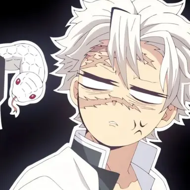 Profile image of 시나즈가와 사네미