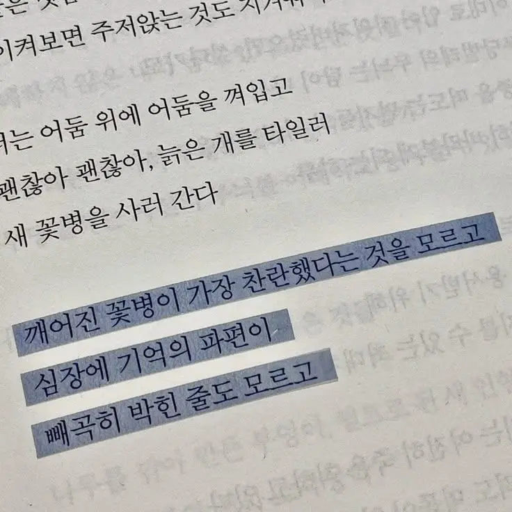 S2UDIVE의 김다현