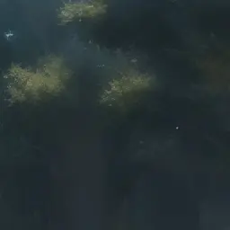 Profile image of 恭平