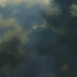 Profile image of 和也