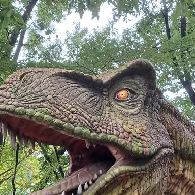 Profile image of 여우