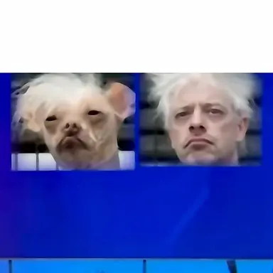 Profile image of 늑대