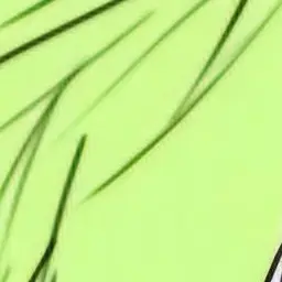 Profile image of 텔러