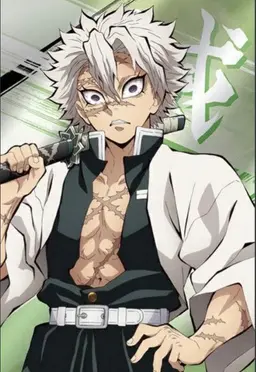 Profile image of Shinazugawa Sanemi