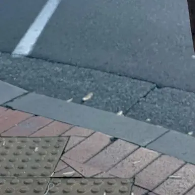 Profile image of 大森元貴