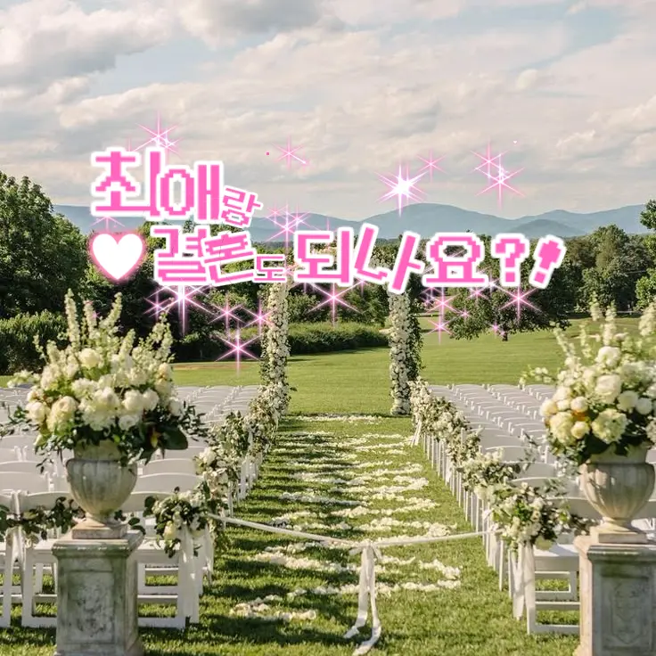 serinserin의 최애랑 결혼도... 되나요?!