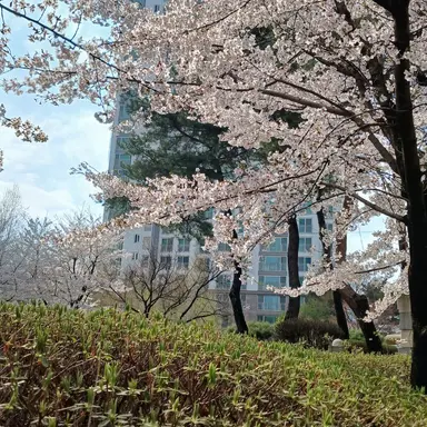 Profile image of 라더