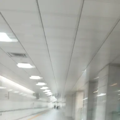 Profile image of 海斗  かいと