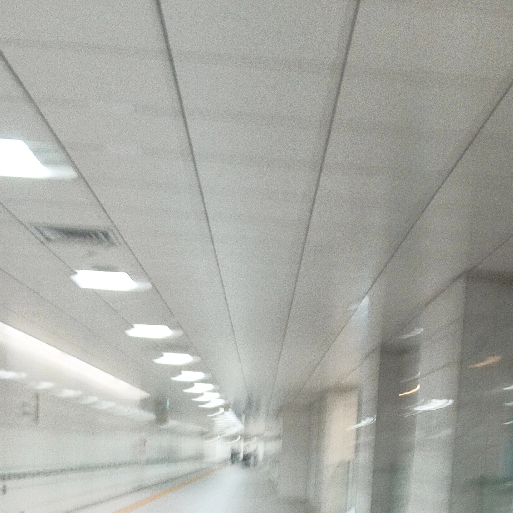 海斗  かいと