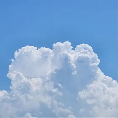 Profile image of 늑대