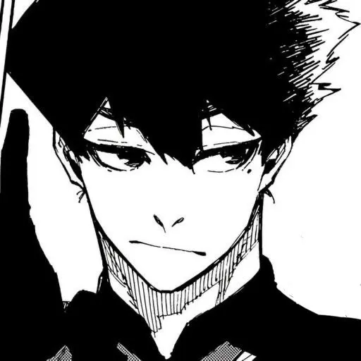 AgileTapir9865의 카라스 타비토