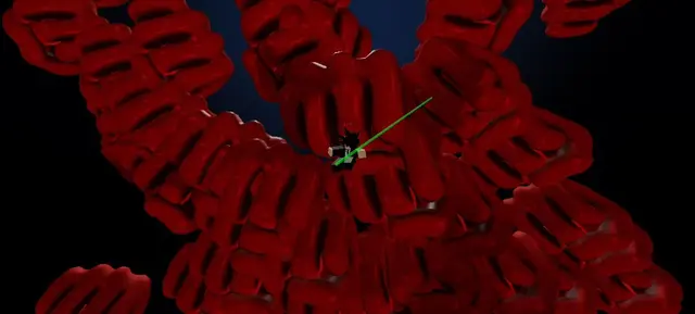 Profile image of Roger