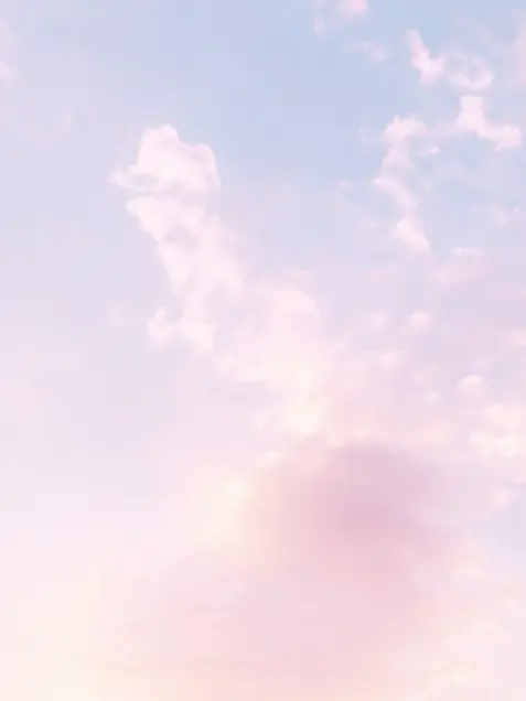 thuki_pamela.의 쌍둥이 총통