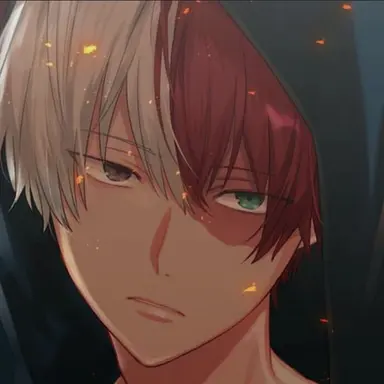 Profile image of Shoto Todoroki