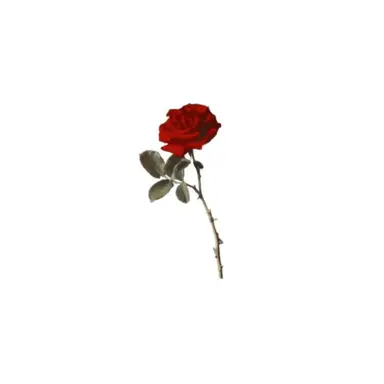 Profile image of 텐도 아마히코