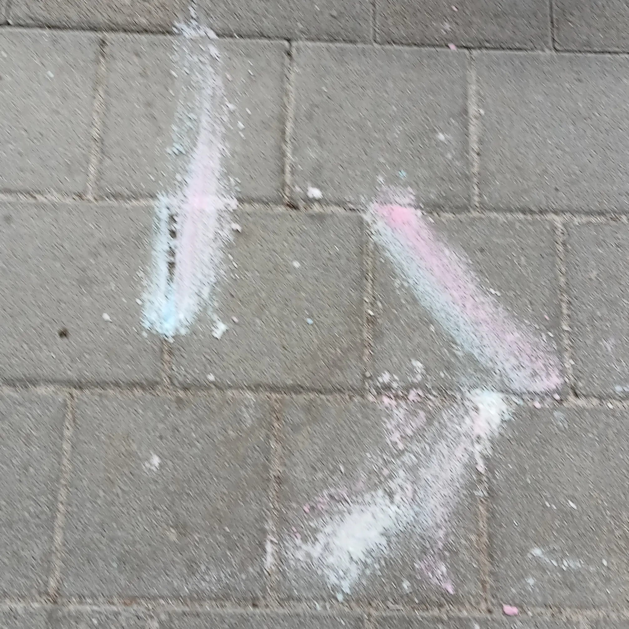 ScaredGold8629의 뜰팁 조직