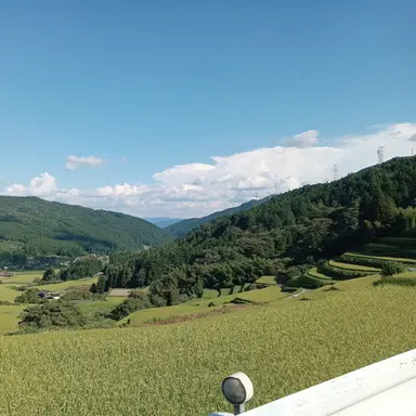 Profile image of りお