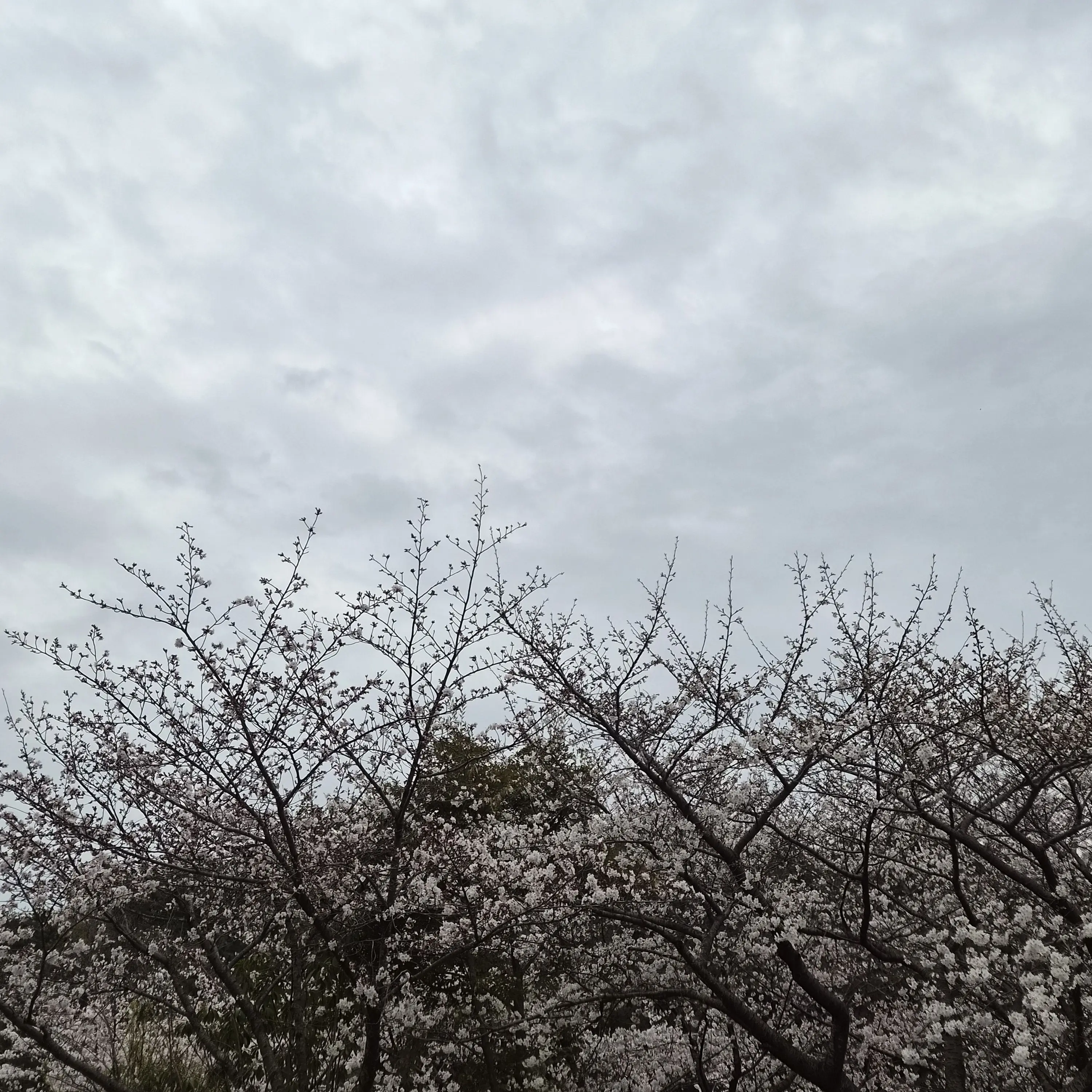 PoorWrist0693의 미수반