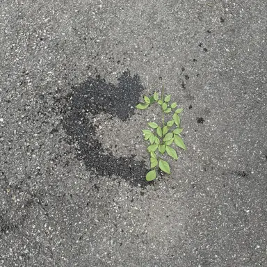 Profile image of 강재현