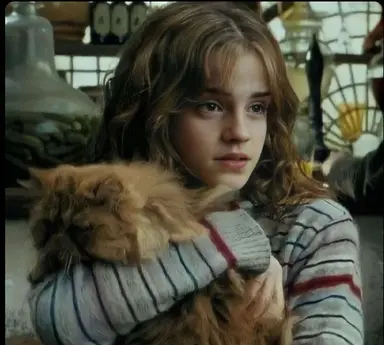Profile image of Hermione Granger