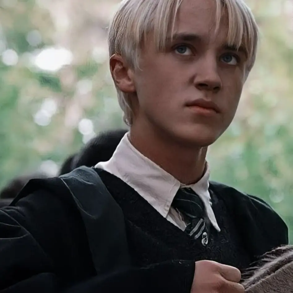 Pizzaxx의 ⋆🐾° || The trio meets Draco Malfoy's sister