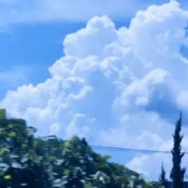 Profile image of 잠뜰