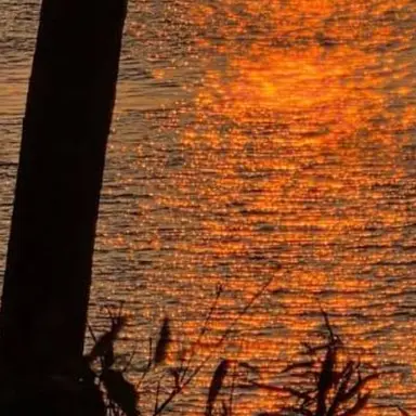 Profile image of 덕개