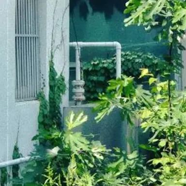 Profile image of 공룡