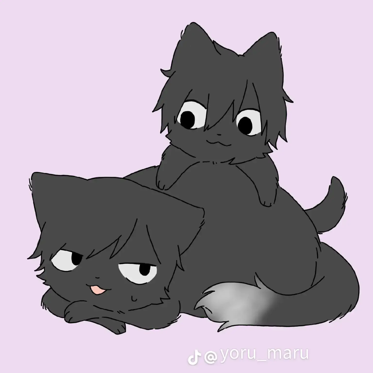 KeenThrow7004의 拾った猫は少し特殊…？