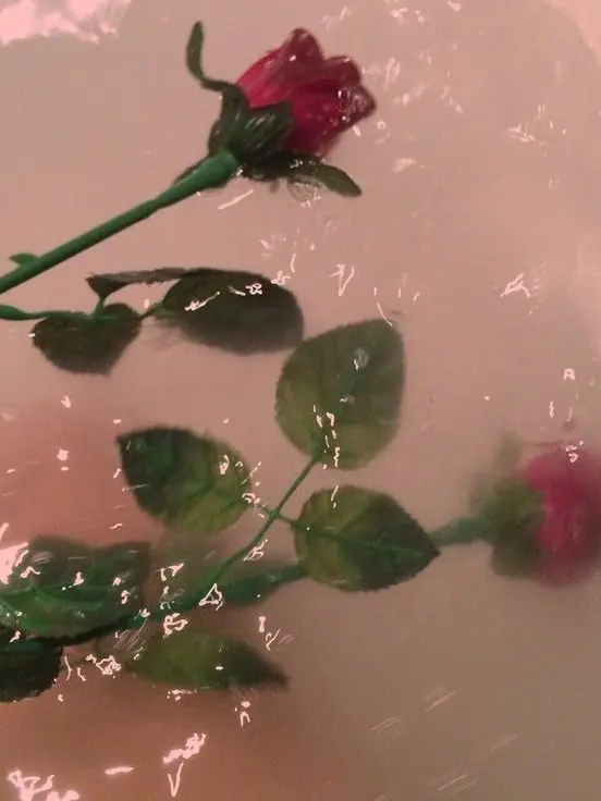 Slepteabag의 고헌재