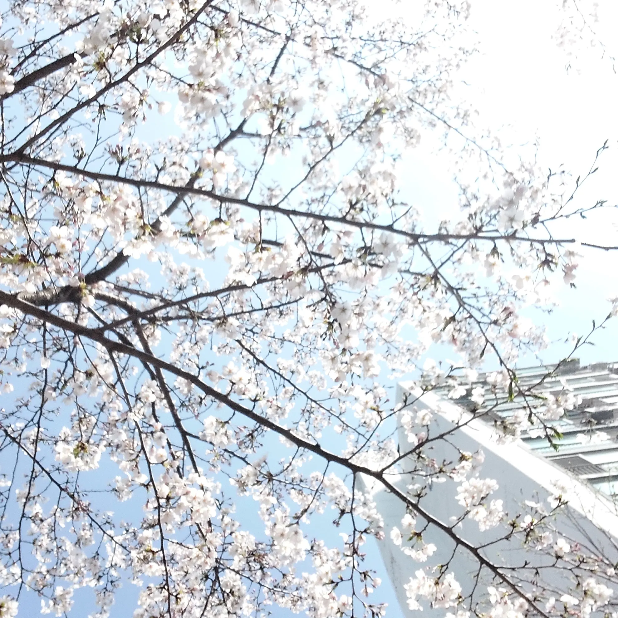 know_youri의 윤저난