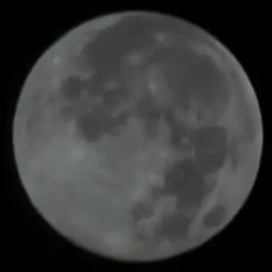 Profile image of 김각별