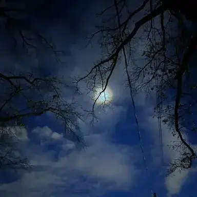 Profile image of Make Your Own World