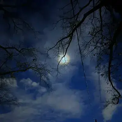 FlakyDrum9780의 Make Your Own World