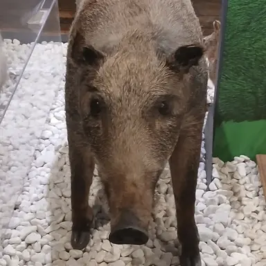 Profile image of 김소연 선생님