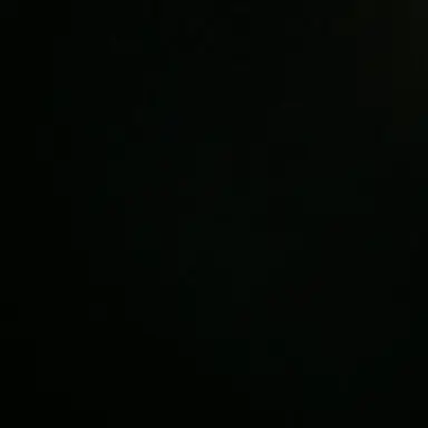 Profile image of 미믹