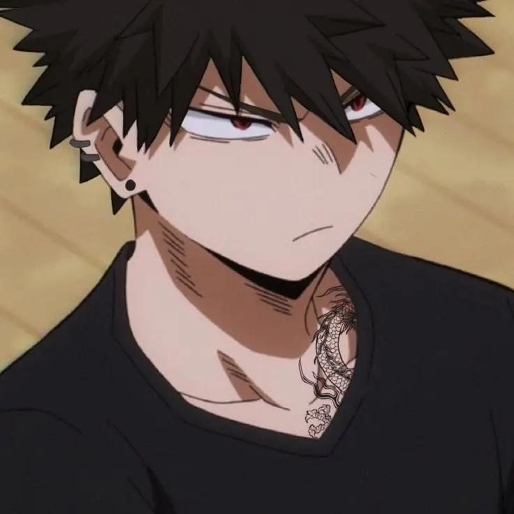 ExpertCow0810의 Bakugo's Quiet Twin