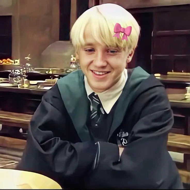 FruitySwamp5042의 Draco's Secret