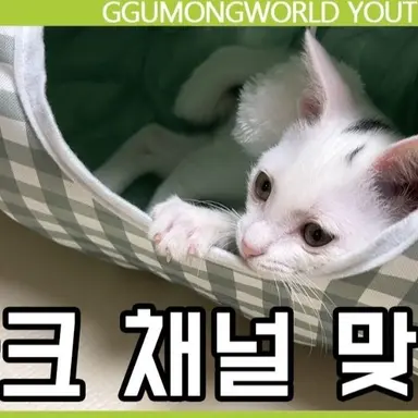 Profile image of 솜이