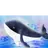 잠뜰