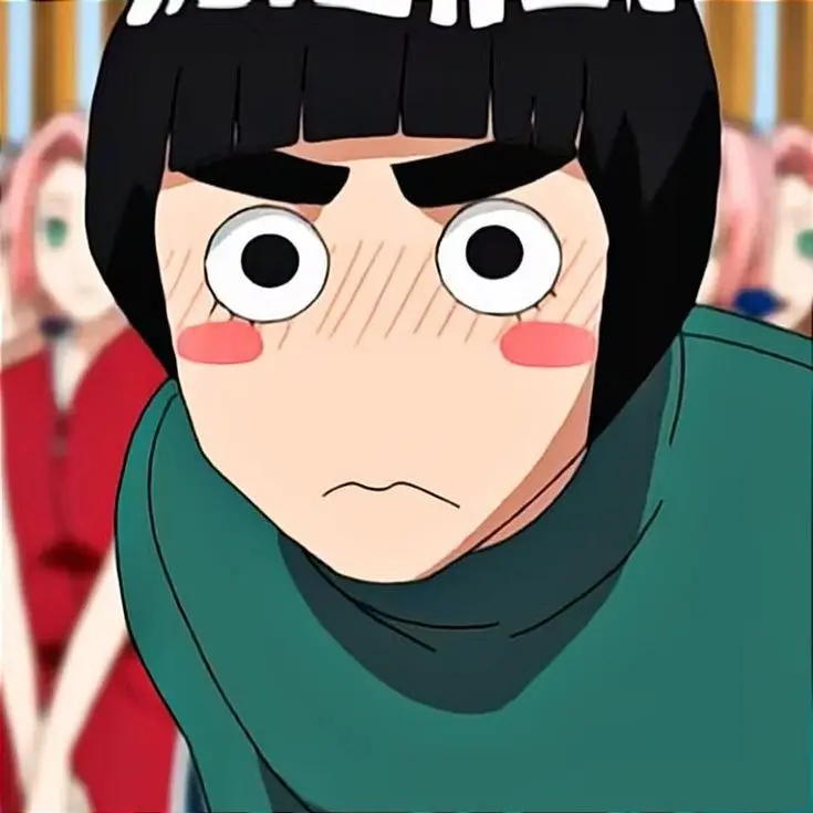 FairBroth5991의 ROCK LEE