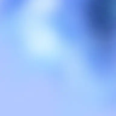Profile image of 파이브