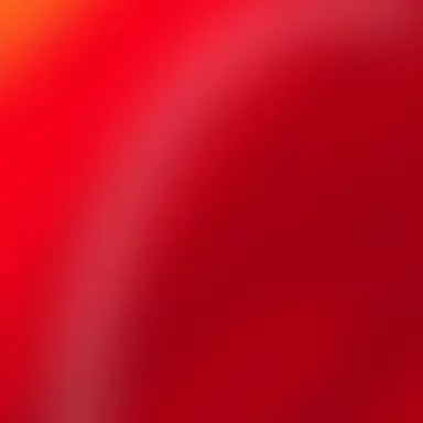 Profile image of 플래그