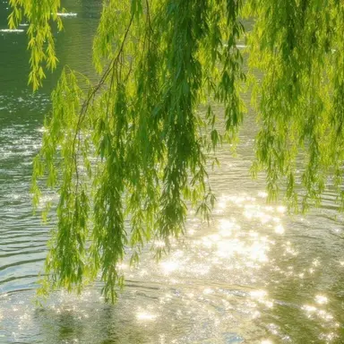 Profile image of 공룡