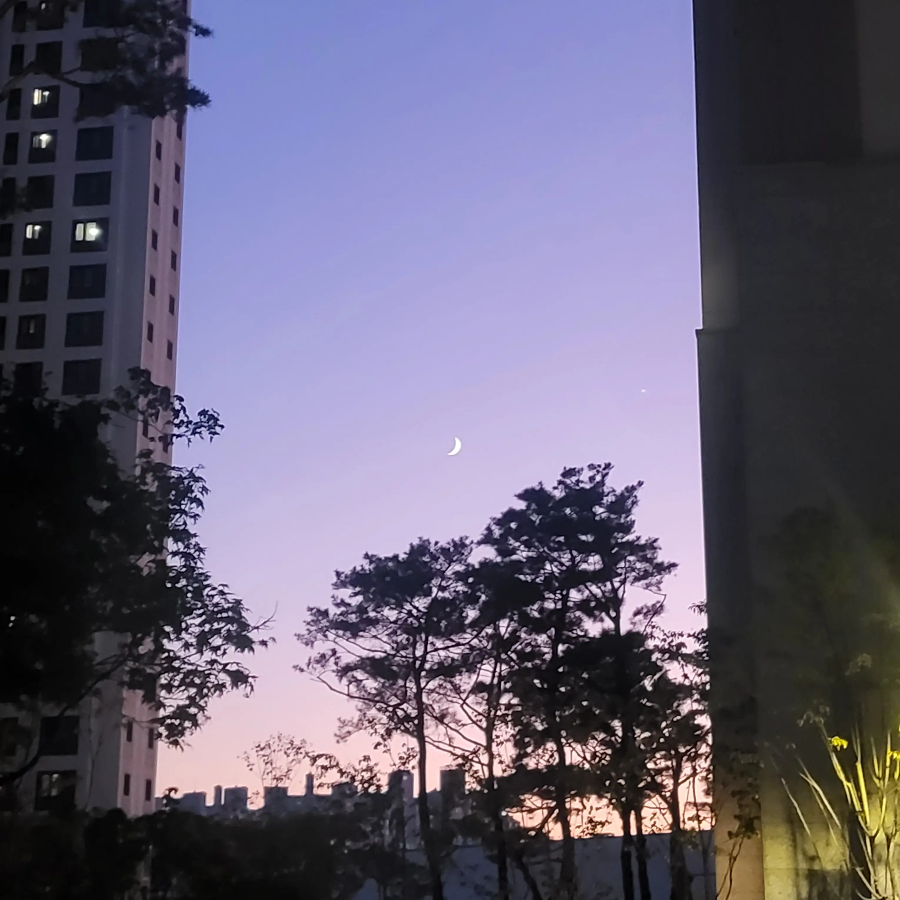 BulkyFern7469의 선도부 (보넥도 F6)